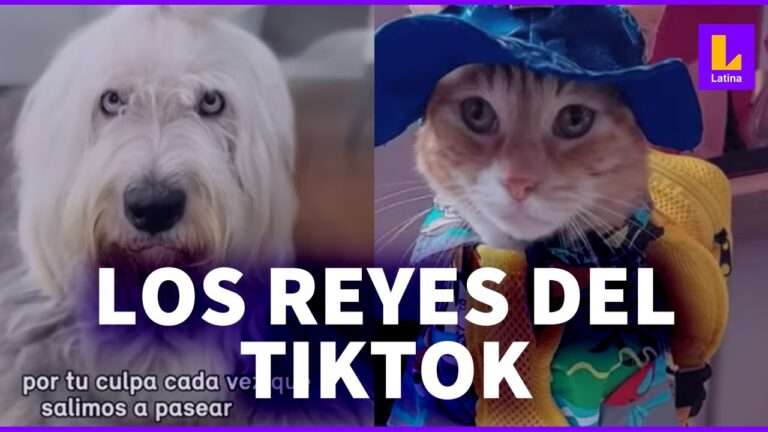 Los influencers de mascotas triunfan en TikTok