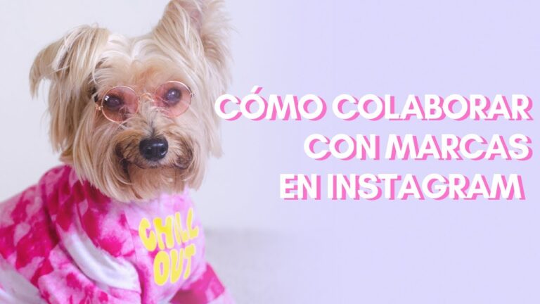 Convierte a tu mascota en una fuente de ingresos en Instagram
