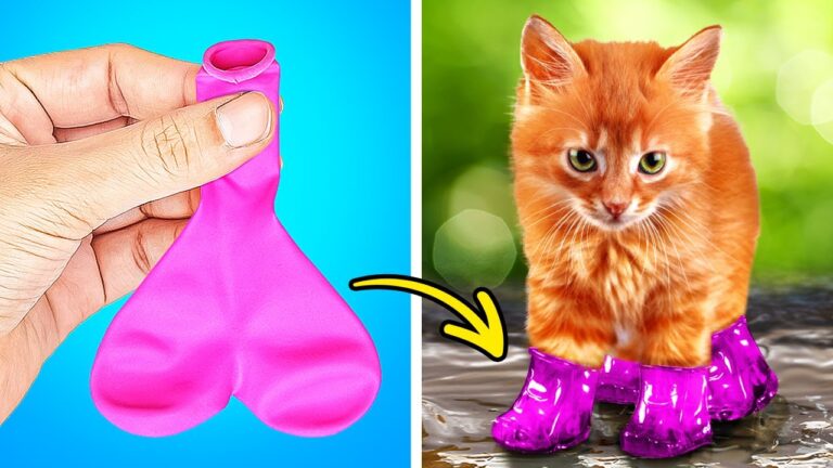 Los mejores trucos y habilidades de mascotas en TikTok