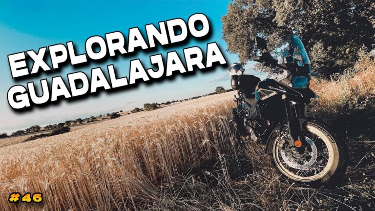 Explorando la escena de los deportes electr&oacute;nicos en Twitch: Una inmersi&oacute;n en el mundo de los videojuegos en l&iacute;nea