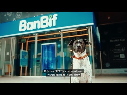 Caracter&iacute;sticas clave de una cuenta de ahorros para mascotas