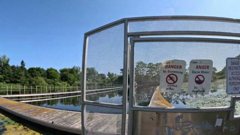 Un Espect&aacute;culo Inolvidable a Pesar de la Lluvia