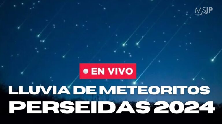 Tips para observar la lluvia de meteoros en agosto