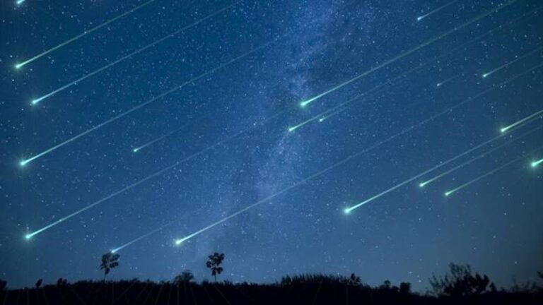 el espect&aacute;culo de las estrellas fugaces