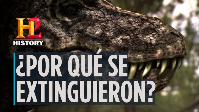 Or&iacute;genes y descubrimientos