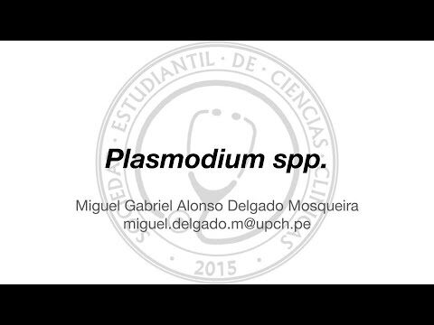 Descubriendo los Programas de Transcripci&oacute;n que Definen el Destino de C&eacute;lulas Masculinas y Femeninas en Plasmodium falciparum