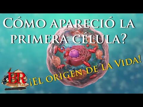 &iquest;La lluvia como clave del origen de las primeras c&eacute;lulas?