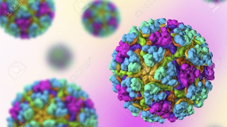 Nuevo Mecanismo de Reconocimiento de Receptores para el Alfavirus Descubierto por Cient&iacute;ficos