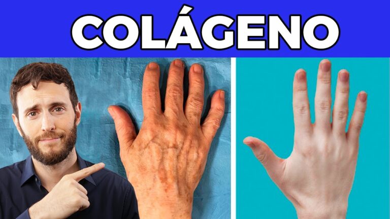 &iquest;por qu&eacute; ha sobrevivido 200 millones de a&ntilde;os?