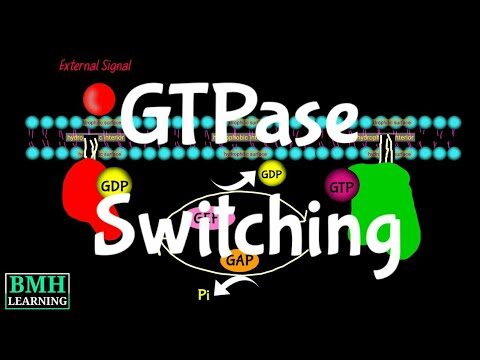 Descubren un M&eacute;todo Innovador para Desarrollar Medicamentos GTPase