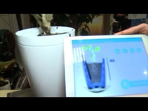 La Infraestructura del Hogar del Futuro