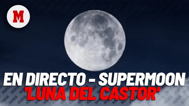 Cu&aacute;ndo y c&oacute;mo verla