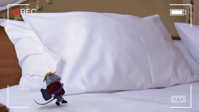 Rat&oacute;n Quim&eacute;rico, Sabor en VR y el Eje Terrestre en Movimiento